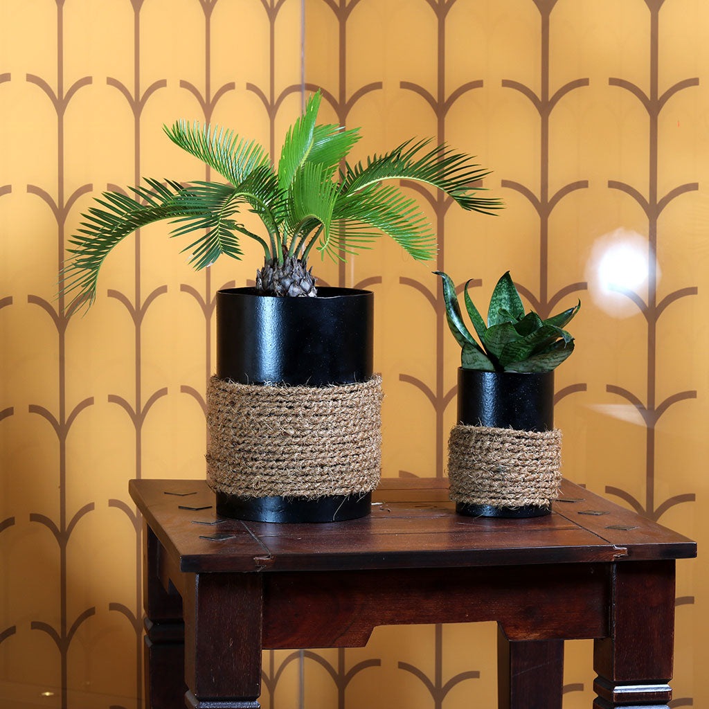 Charcoal Black in Jute Metal Pot - myBageecha