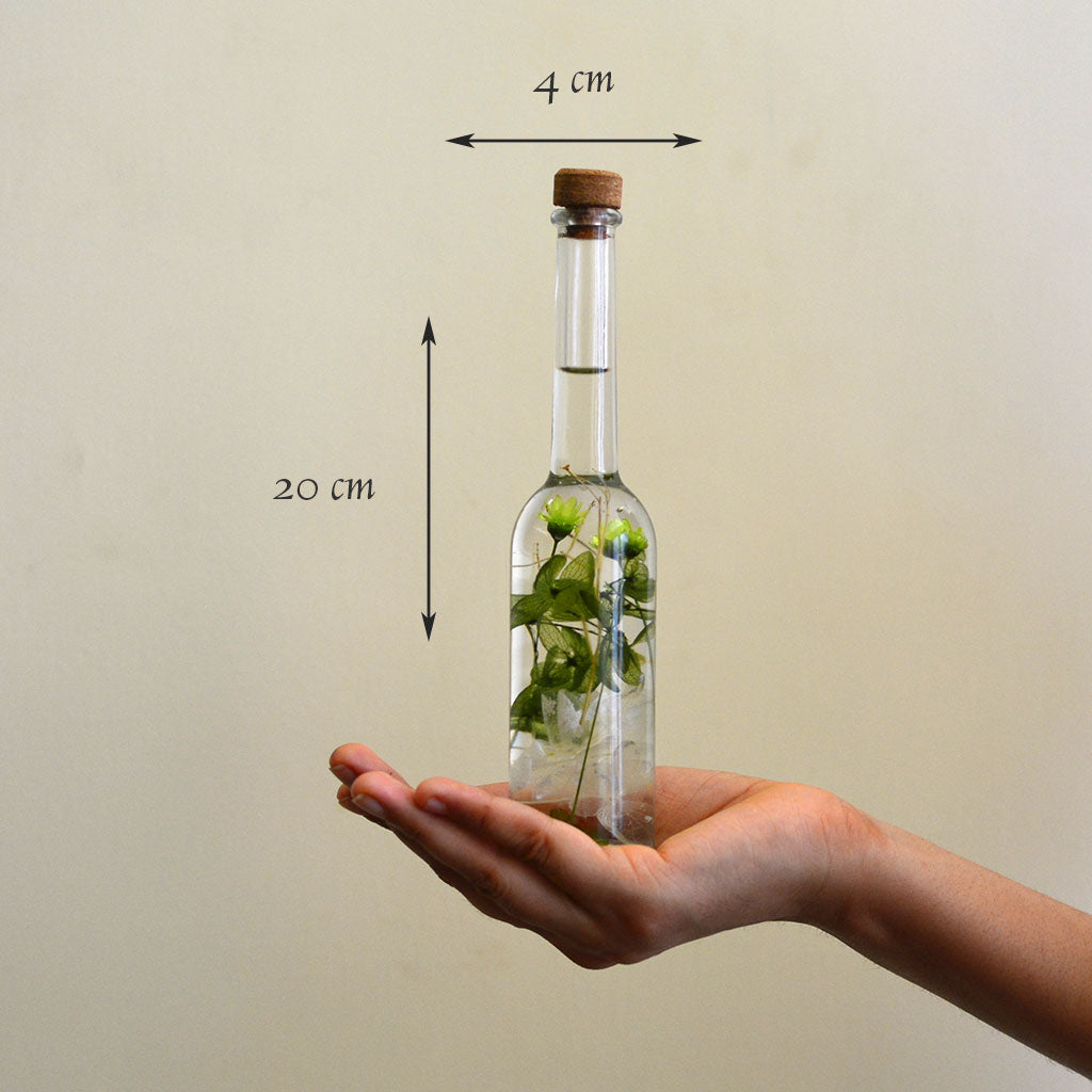 Contrasting Symphony Preserved Flower Tabletop shown in hand – bold decorative accent.