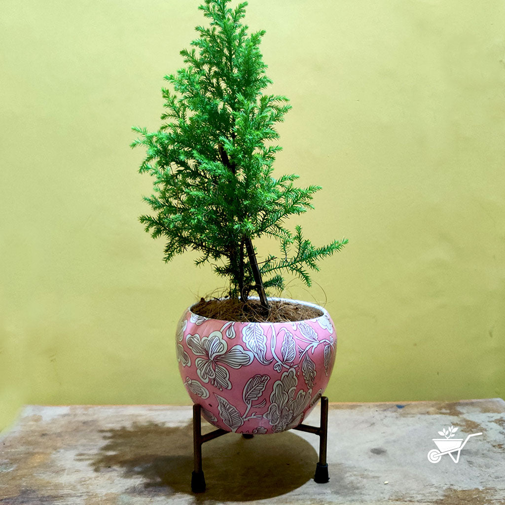 Coral Pastel Metal Pot with Stand - myBageecha