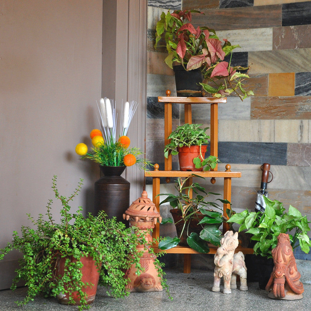 DIY- Corner Plant Stand Garden Essentials myBageecha - myBageecha