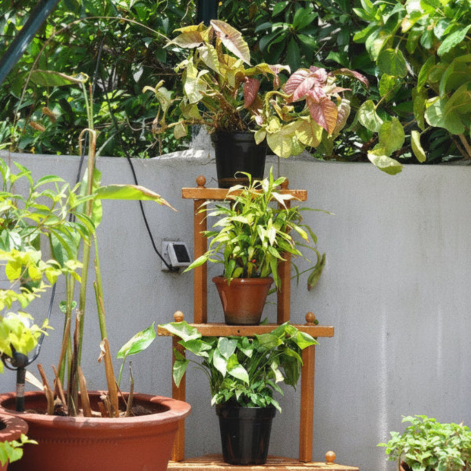 DIY- Corner Plant Stand shown on terrace corner