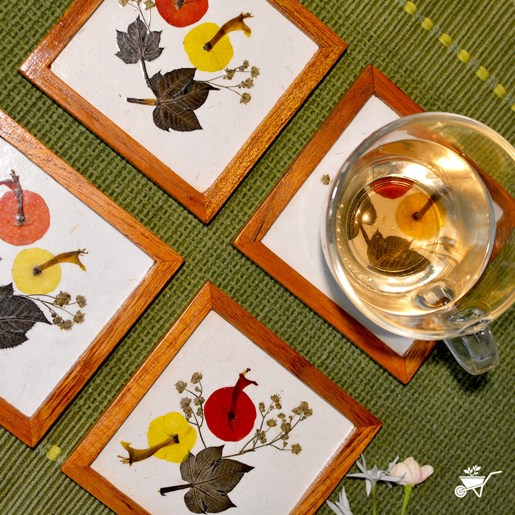 Curious Tale Dried Flower Coaster - myBageecha