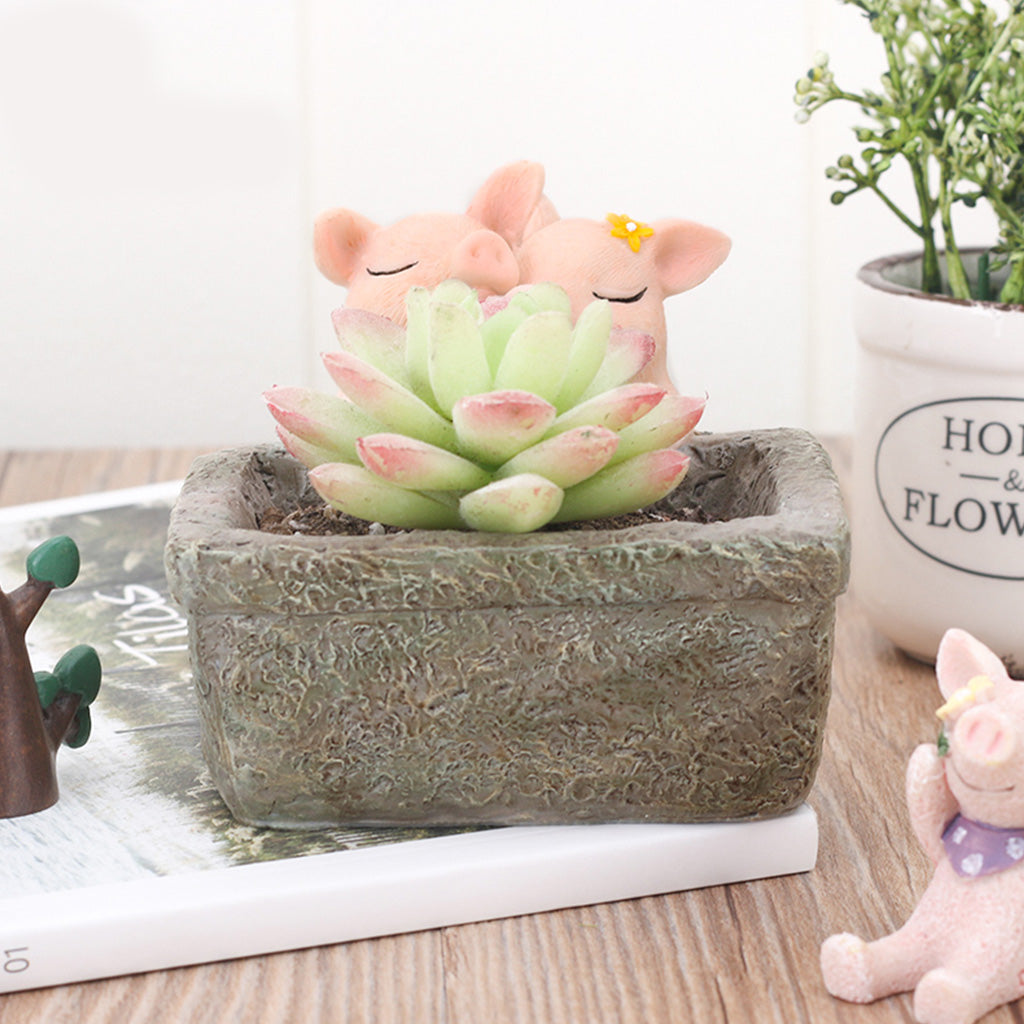 Cute Pig Romantic Couple Resin Succulent Pot - myBageecha