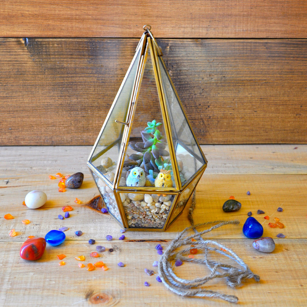 Desert Crawler Miniature Garden Terrarium Kit, from myBageecha