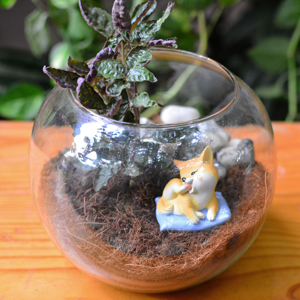 Cozy animal décor miniature