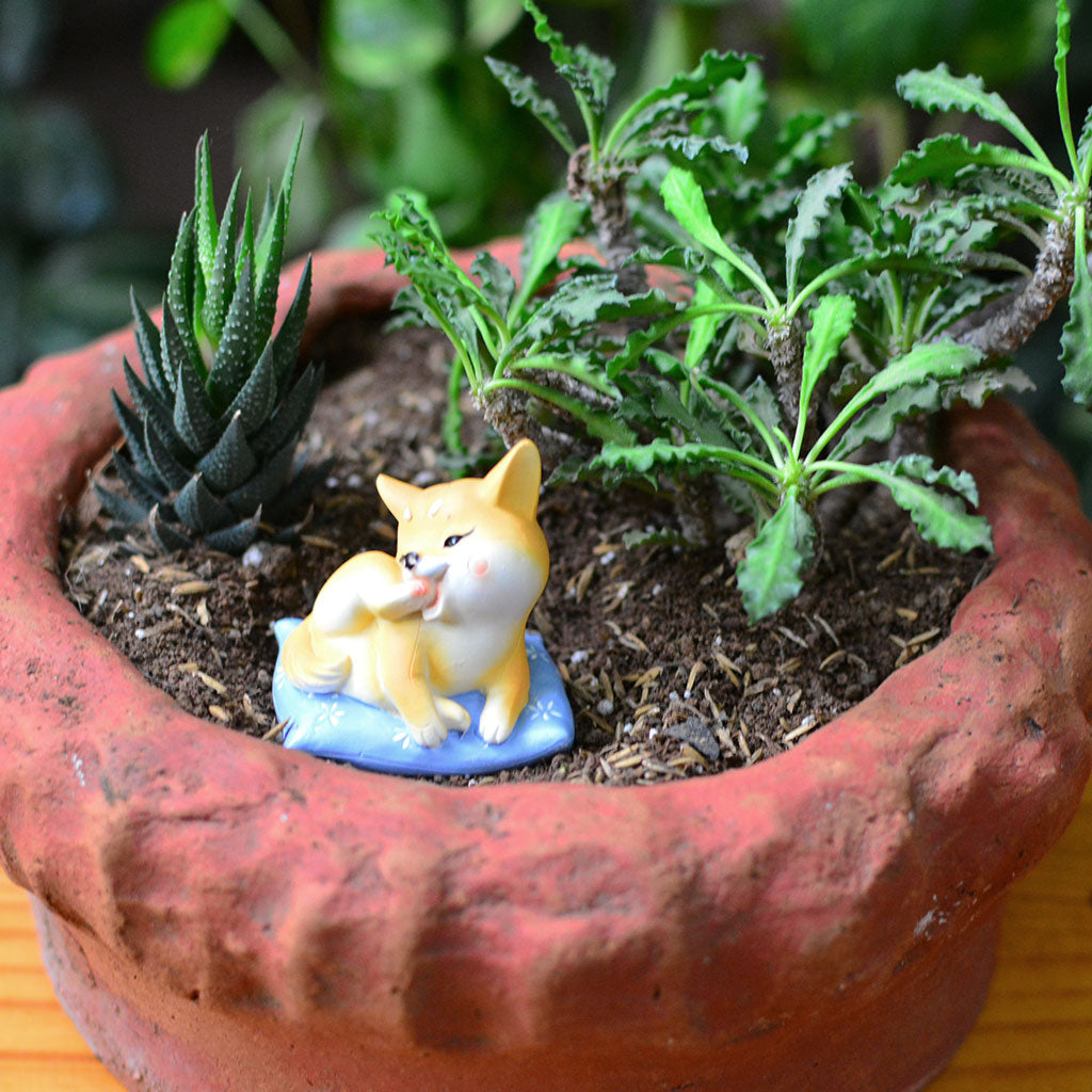 Miniature Cute Dog on Cushion Decor - myBageecha