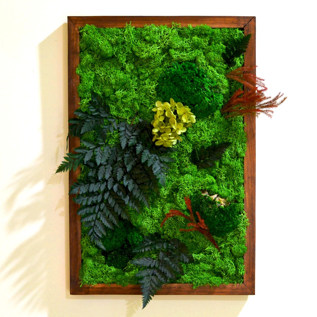 Fern Frenzy Preserved Moss Frame with Dark Wood - myBageecha