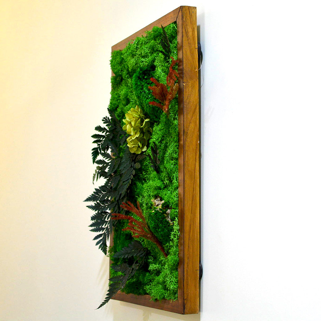 Lush forest moss in dark wood frame – eco-friendly décor