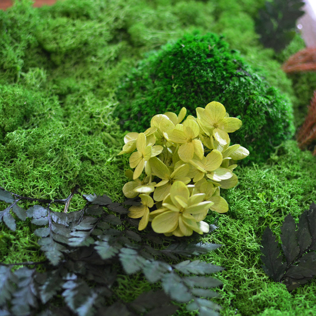 Fern Frenzy moss art handcrafted with nature by myBageecha