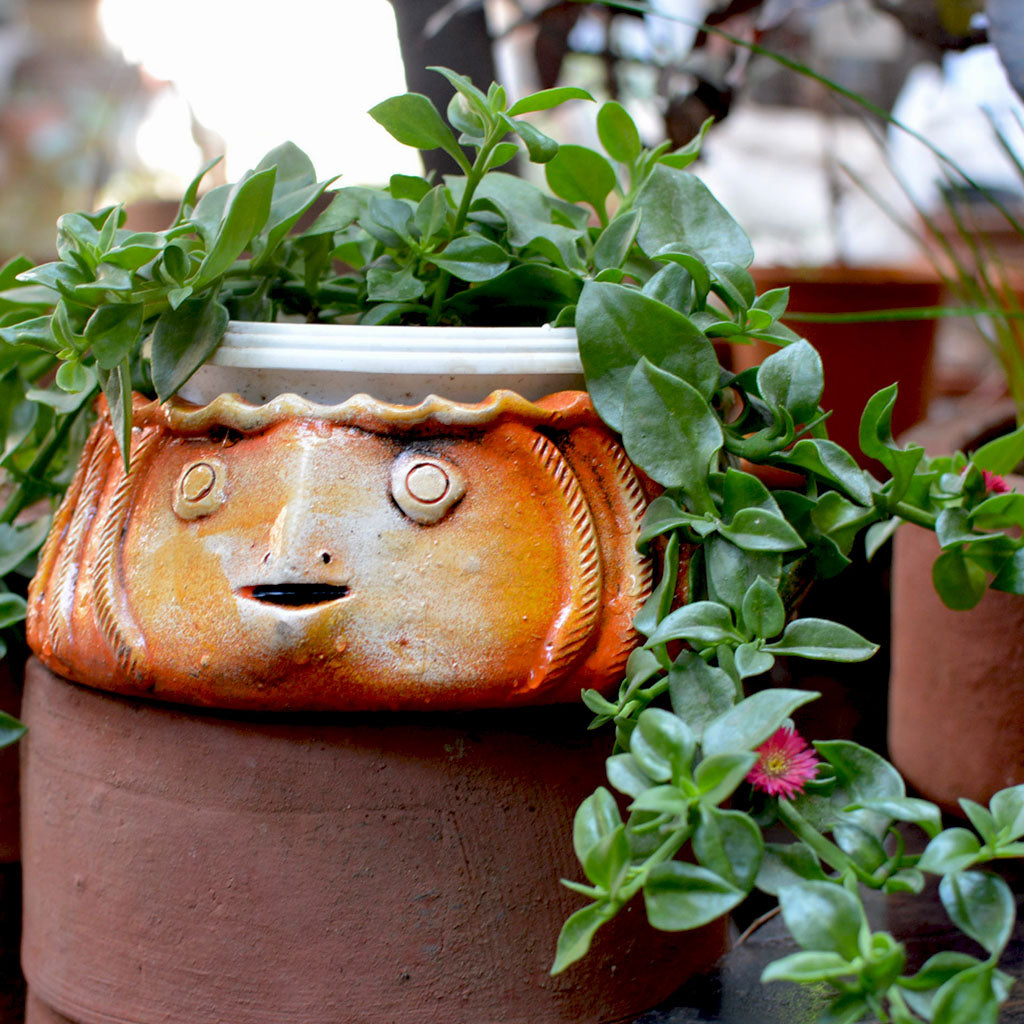 Terracotta Fish Planter front view – myBageecha