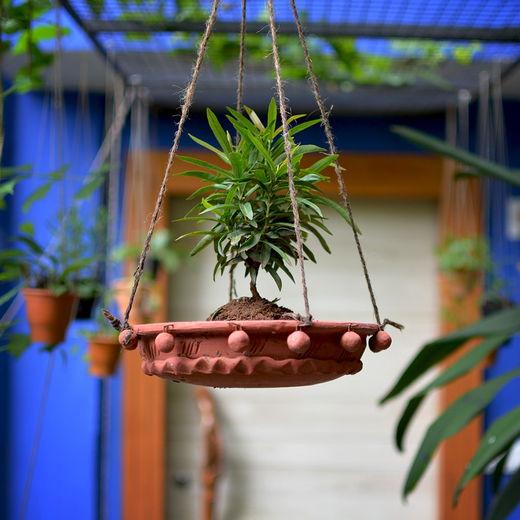 Flat Hanging Terracotta Birdfeeder Planter front view – myBageecha
