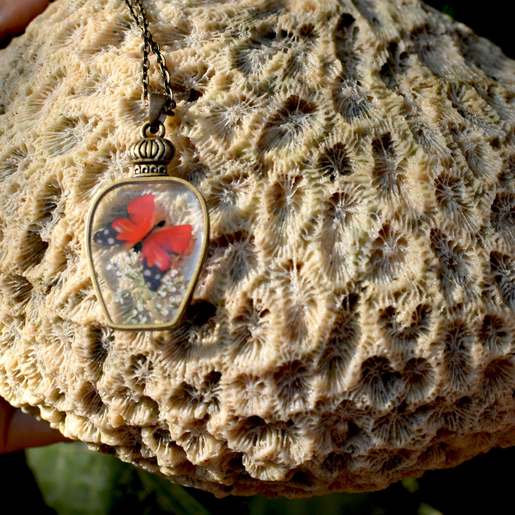 Fluttering Butterfly Necklace - myBageecha