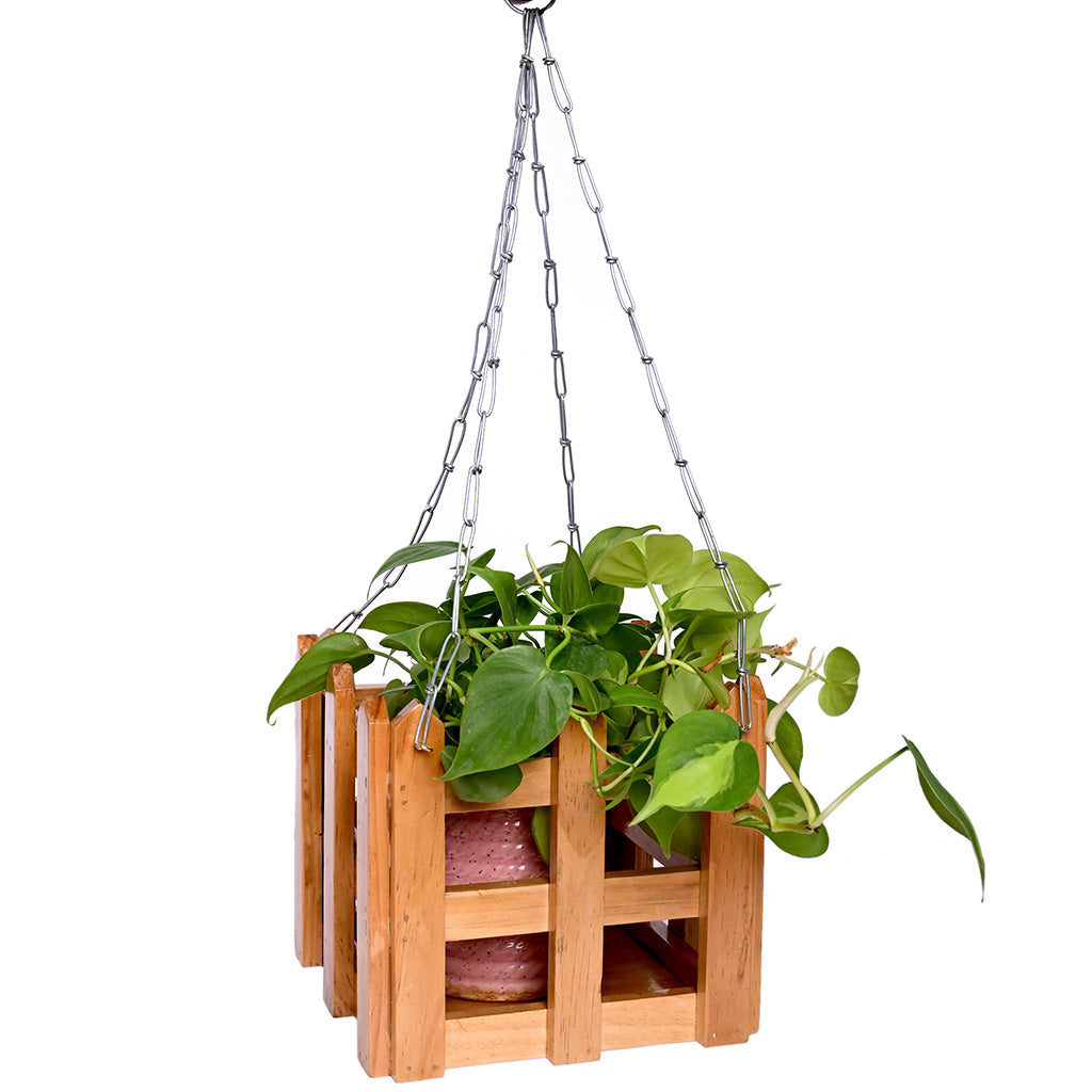 Hanging Fence Style Wooden Planter - myBageecha