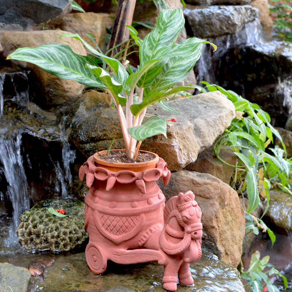 Terracotta Horse Planter front view – myBageecha
