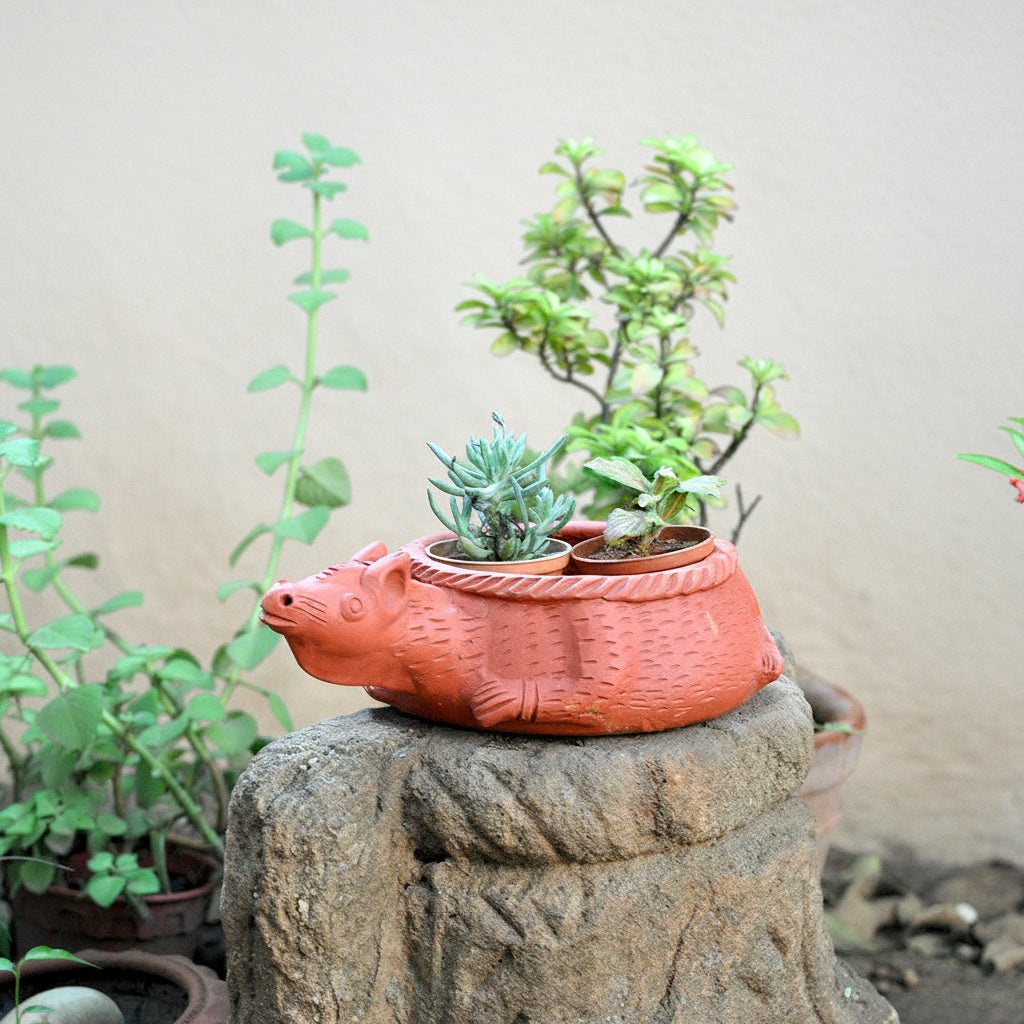 Terracotta Kangaroo Planter front view – myBageecha