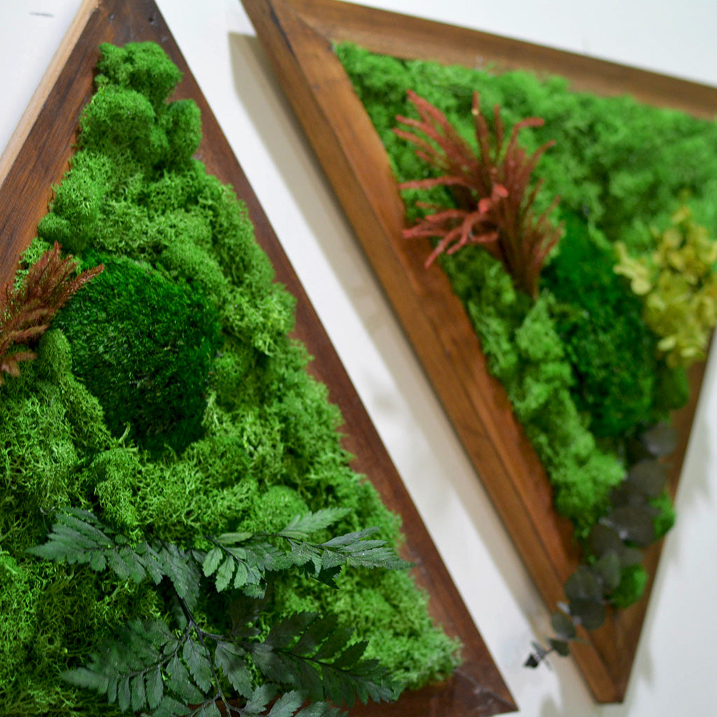 Nature-inspired geometric Like A Diamond Preserved Moss Frame with Dark Wood