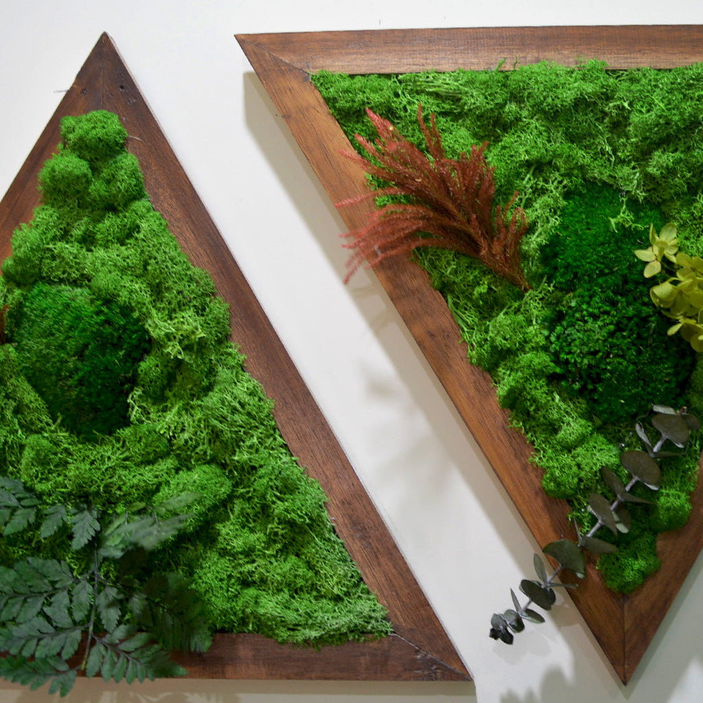 Like A Diamond moss art handcrafted with nature by myBageecha