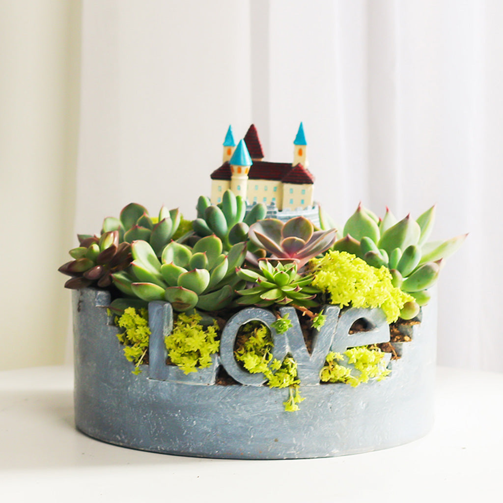 Love for Nature Resin Succulent Pot - myBageecha