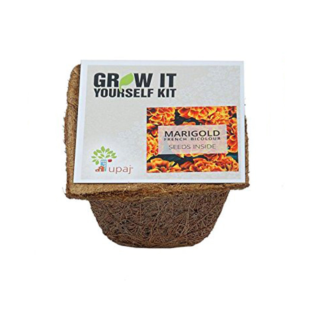 Ready To Grow Kits - Marigold - myBageecha
