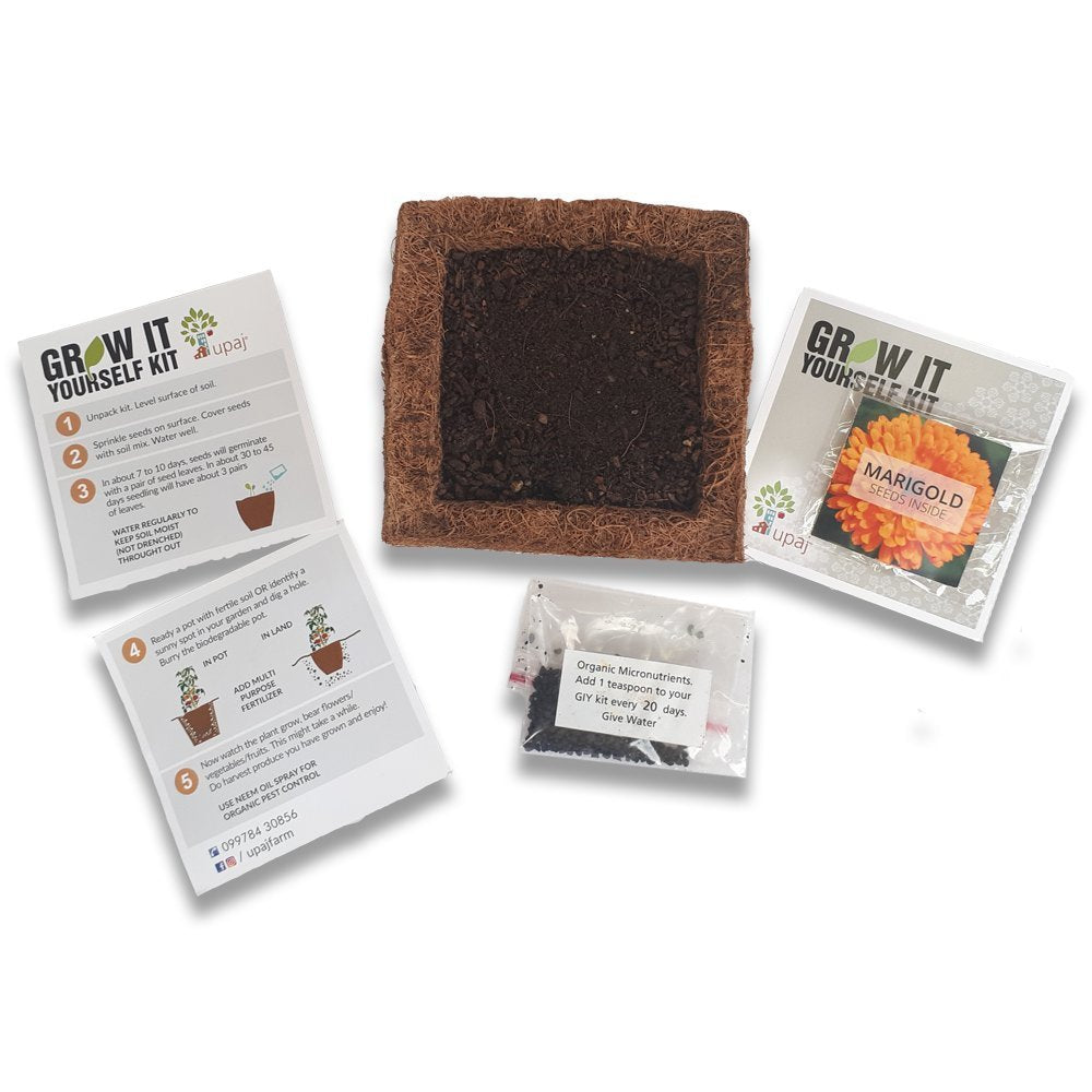 Ready To Grow Kits - Marigold - myBageecha