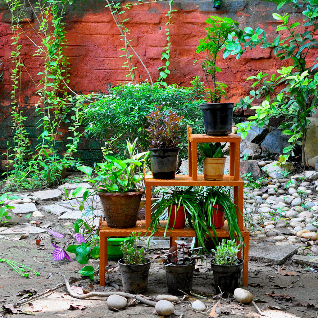 Multi-Level Plant Stand Garden Essentials myBageecha - myBageecha