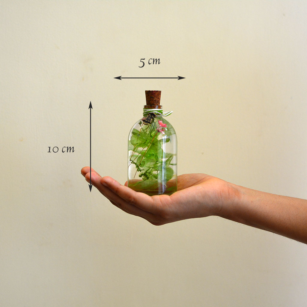 Pallet of Syngonium Preserved Flower Tabletop shown in hand – compact botanical décor.