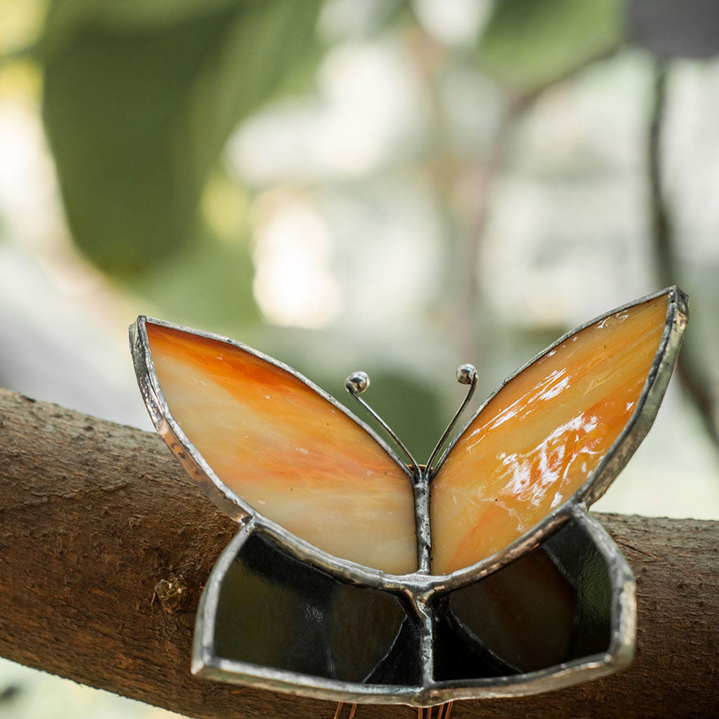 Wrap Around Glass Butterflies Decor myBageecha - myBageecha