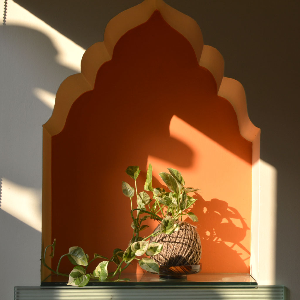 Kokedama Moss Ball Pearls & Jade Pothos Plant - myBageecha