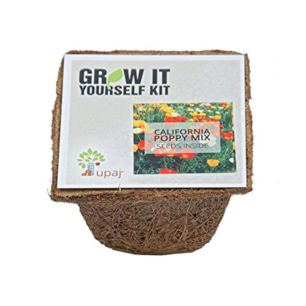 Ready To Grow Kits - Poppy (Small) - myBageecha