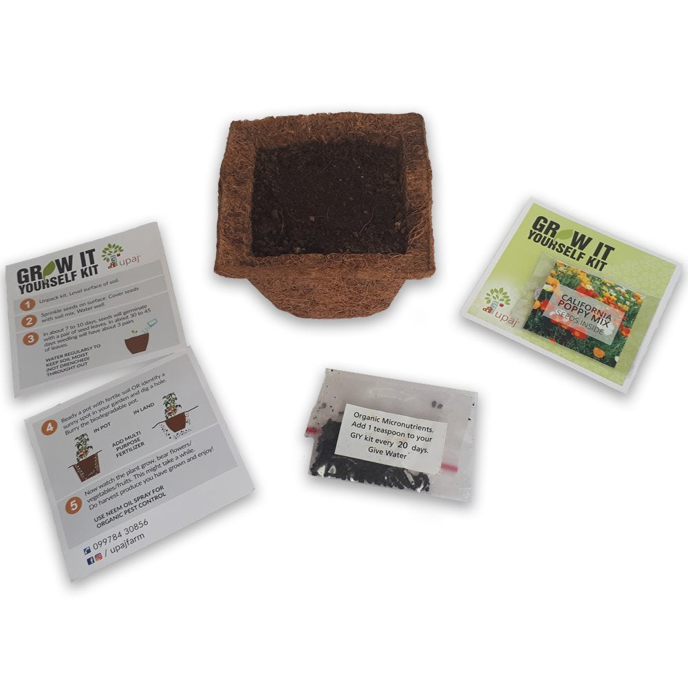 Ready To Grow Kits - Poppy (Small) - myBageecha