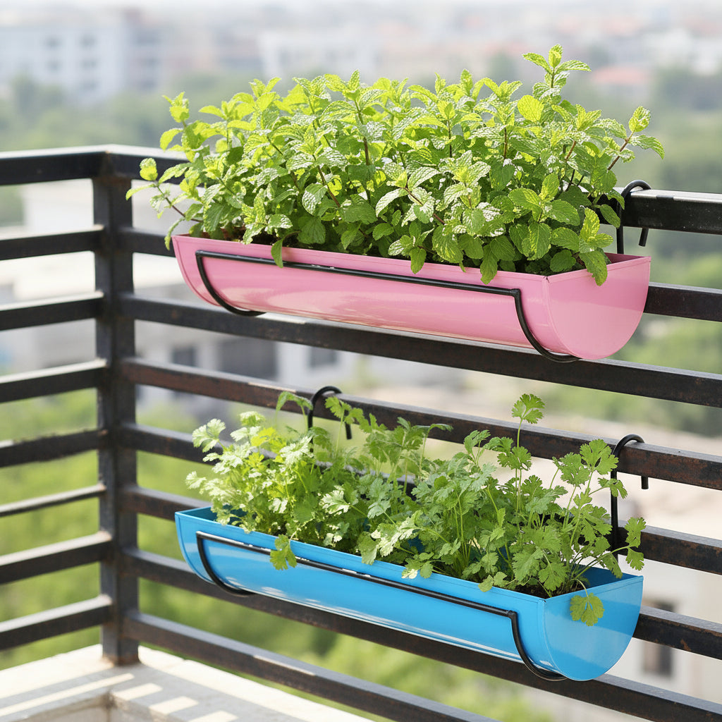 Herbs growing in Set of 2 Hanging Railing Pots with Stand - myBageecha