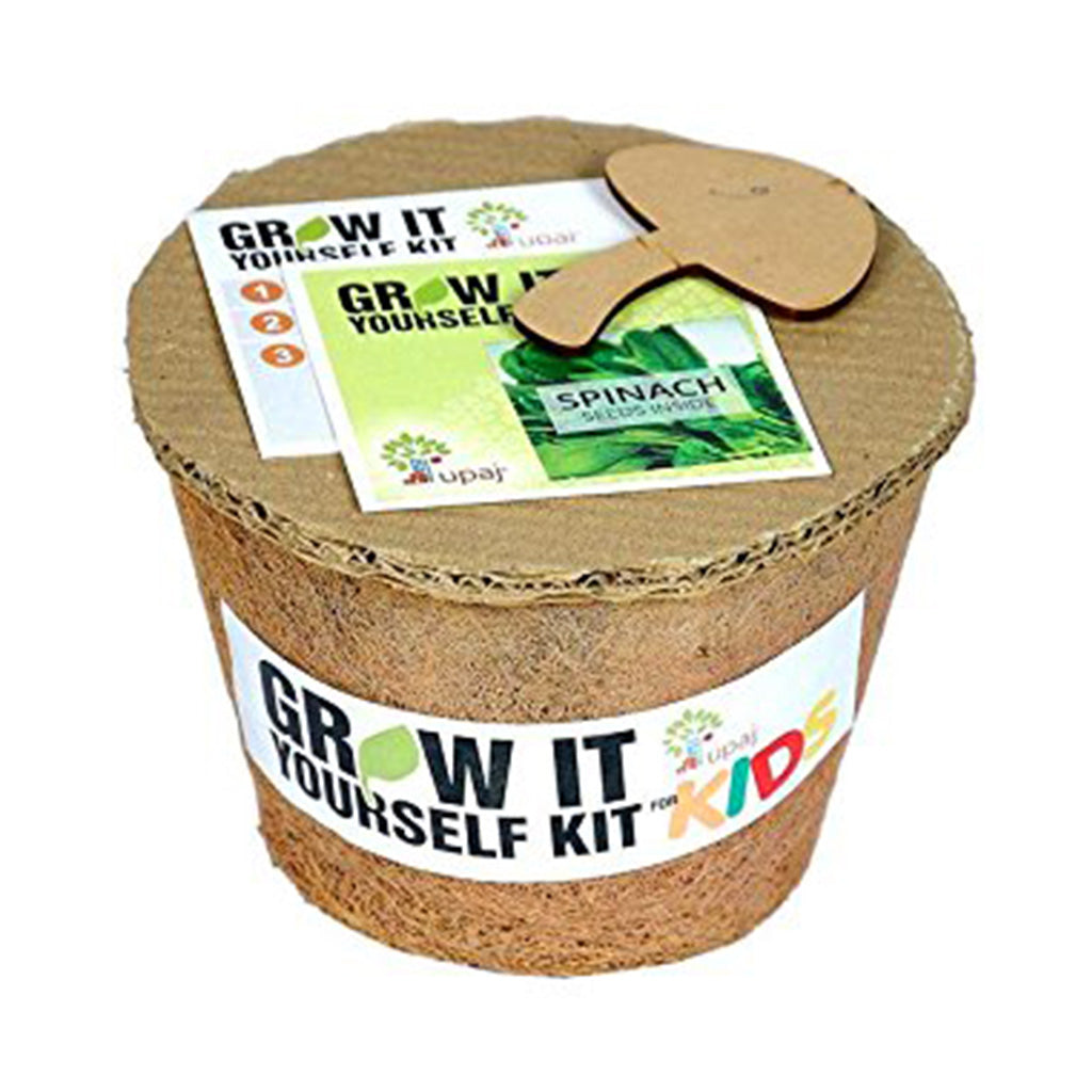 Ready To Grow Kits - Spinach (Large) - myBageecha