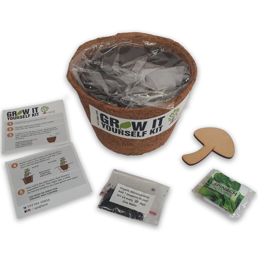 Ready To Grow Kits - Spinach (Large) - myBageecha