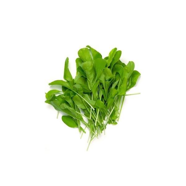 Spinach microgreens foliage, All Season harvest - myBageecha