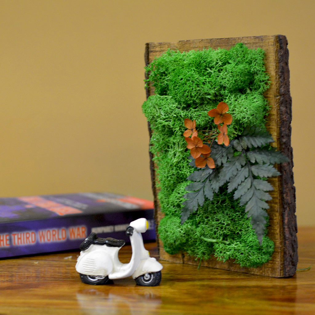 Eternal Summer preserved moss bark frame – front view