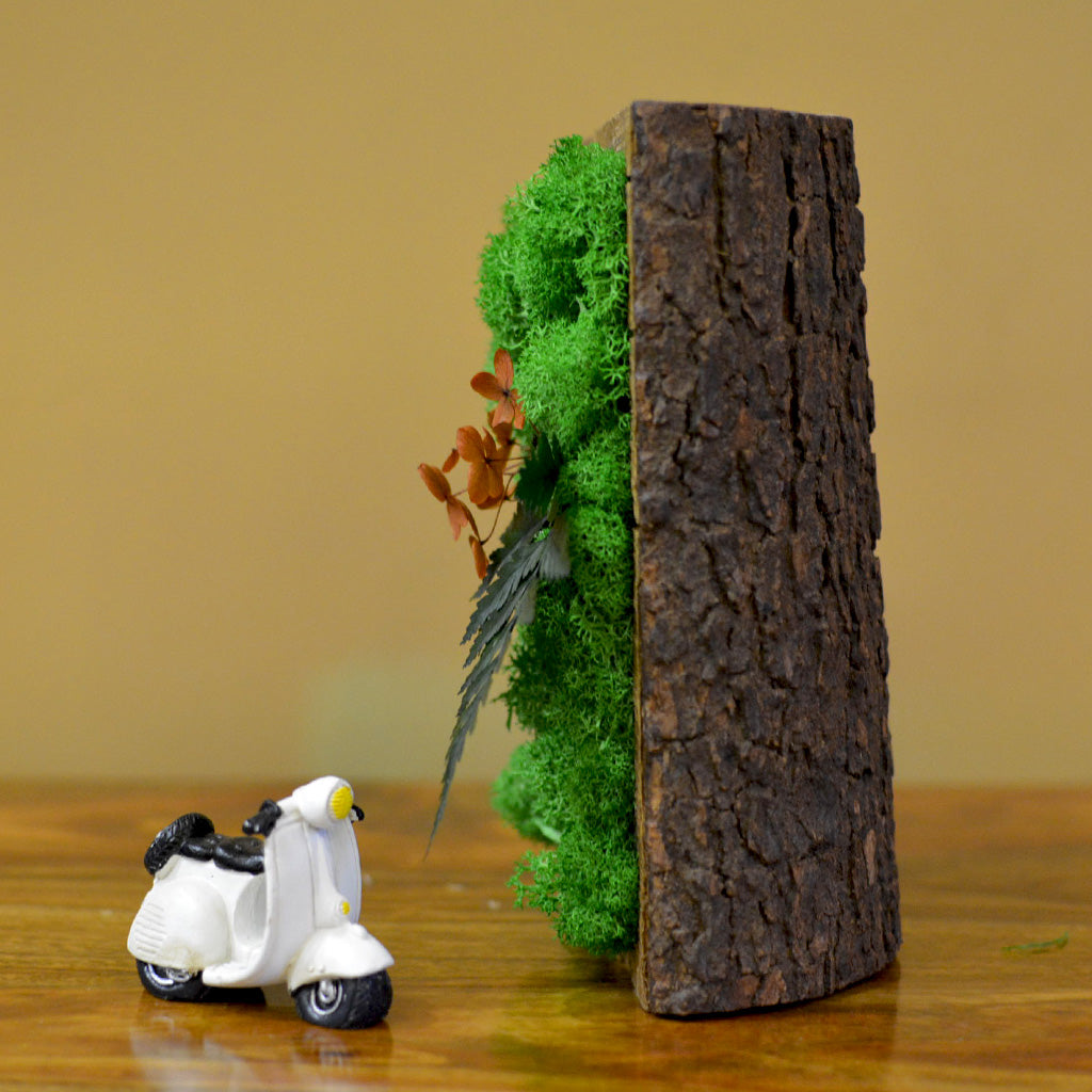 Bright preserved blooms & moss – close-up décor