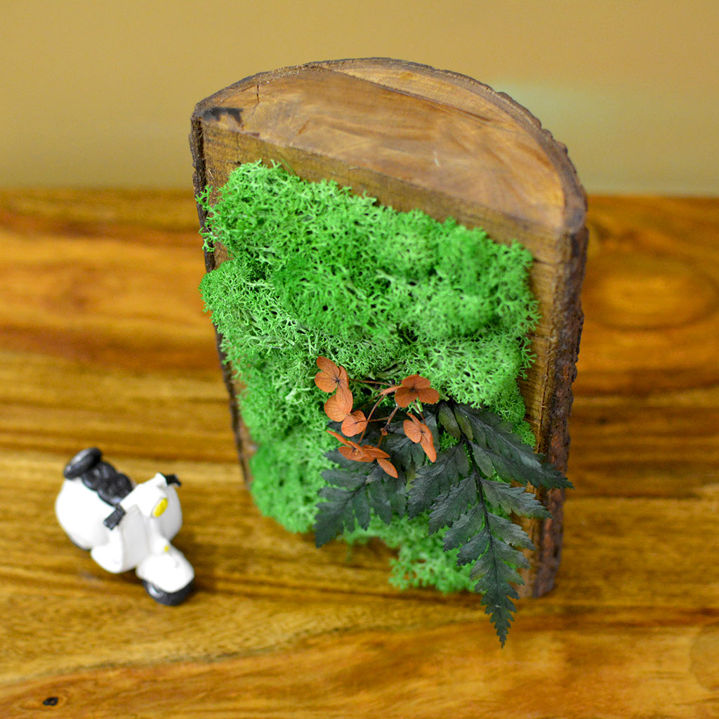 Eternal Summer moss frame handcrafted with nature by myBageecha