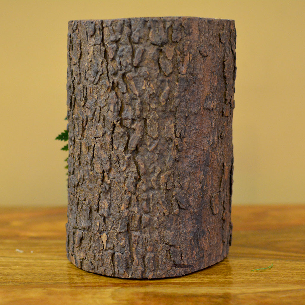 Beachy & cheerful natural décor bloom frame