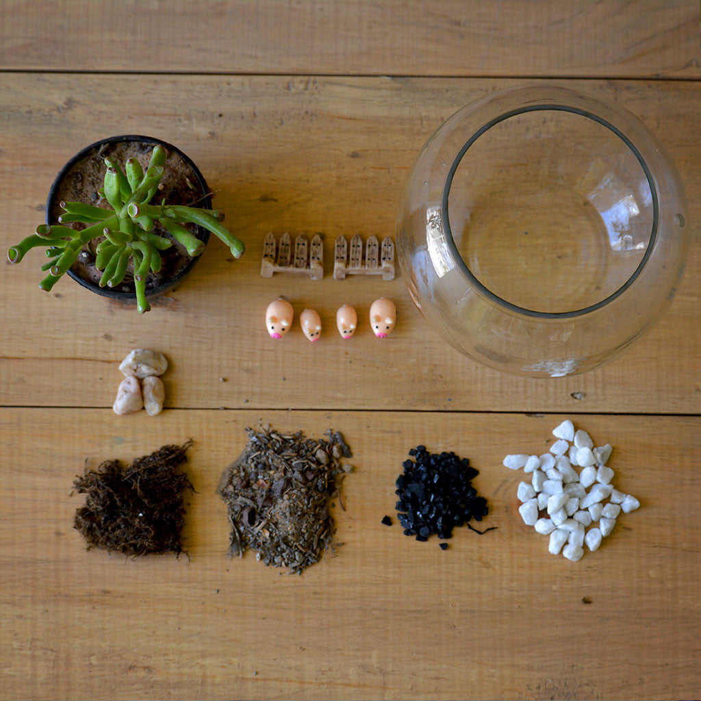 The Grimy Gollum terrarium close‑up of miniatures - myBageecha