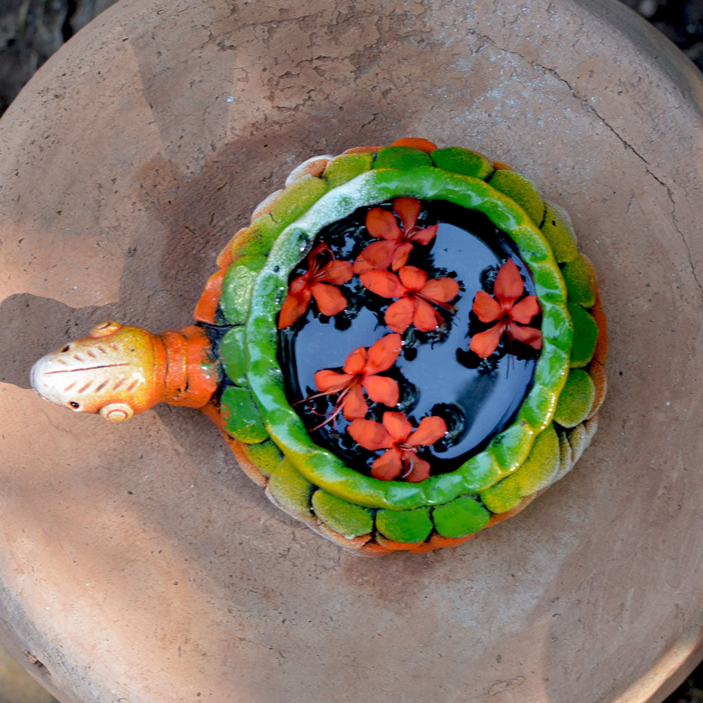 Terracotta Tortoise Succulent Planter (Mini) front view – myBageecha