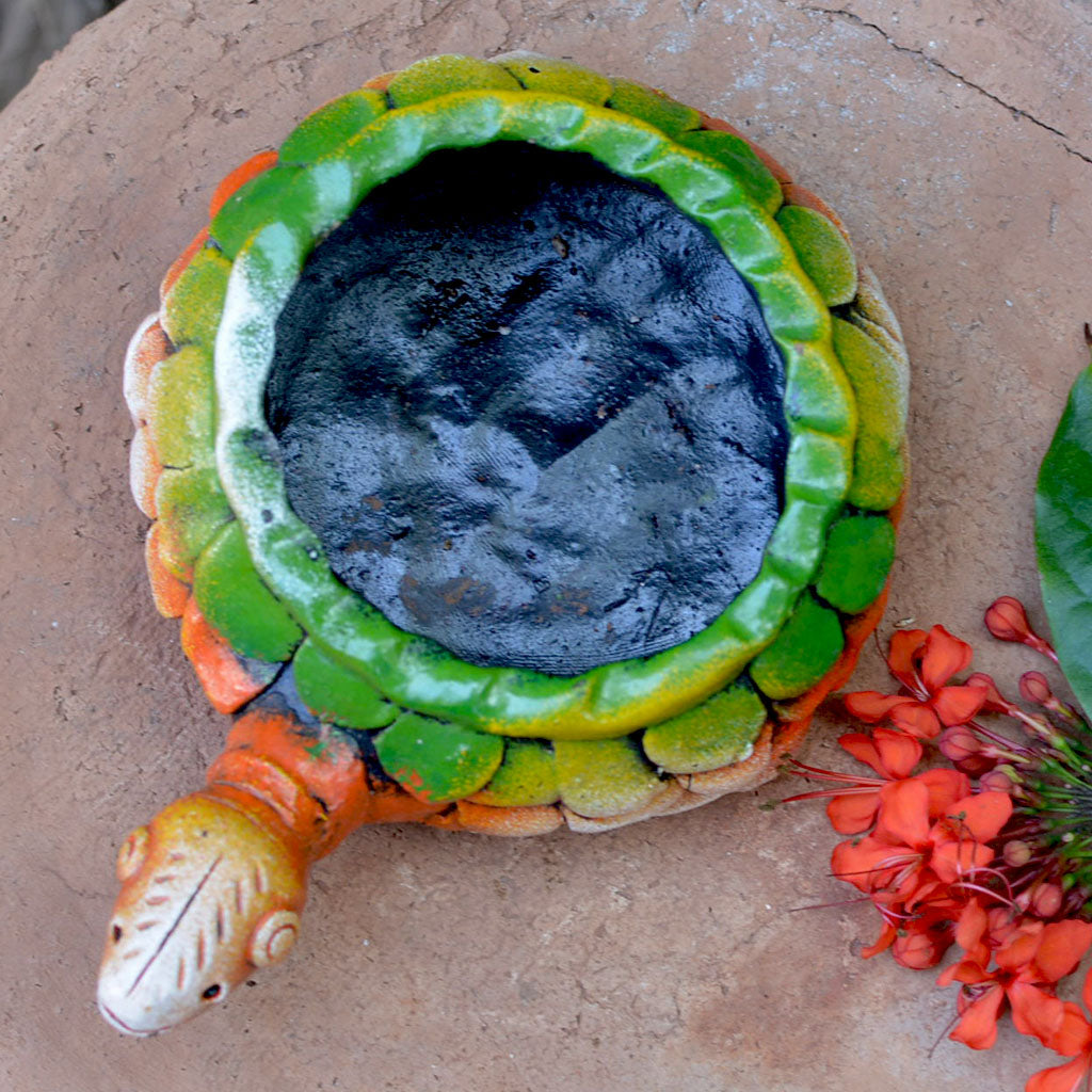 Mini Tortoise Planter with succulent