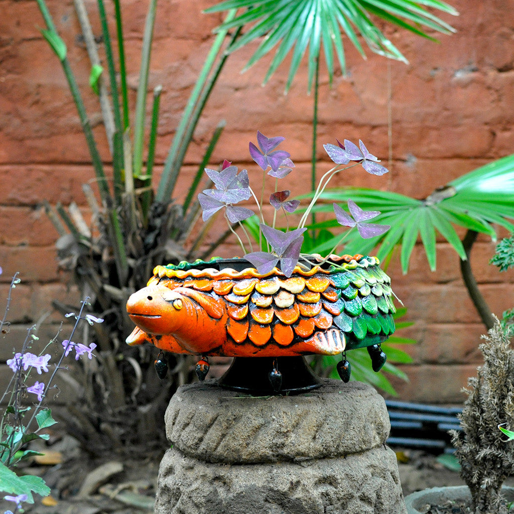 Terracotta Tortoise Planter (Hand Painted) front view – myBageecha