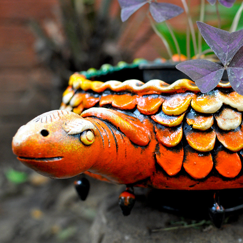Close view of Tortoise Planter