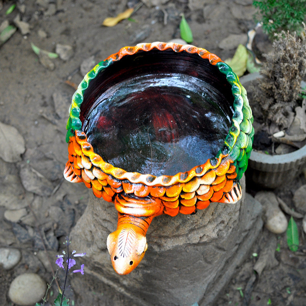Tortoise Planter with flowering plant - myBageecha