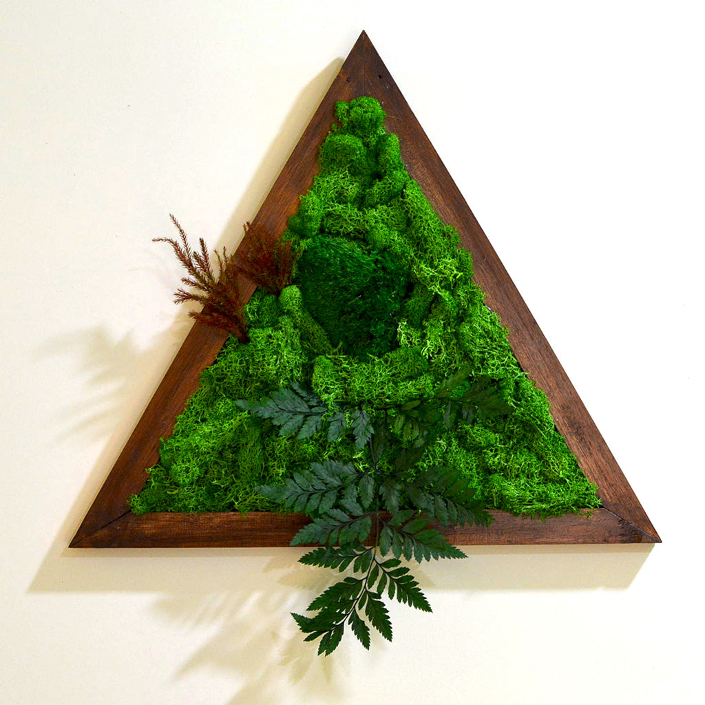 Geometric moss pattern – close-up artistic detail