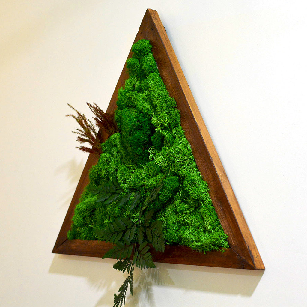 Creative moss wall art – dark wood frame décor