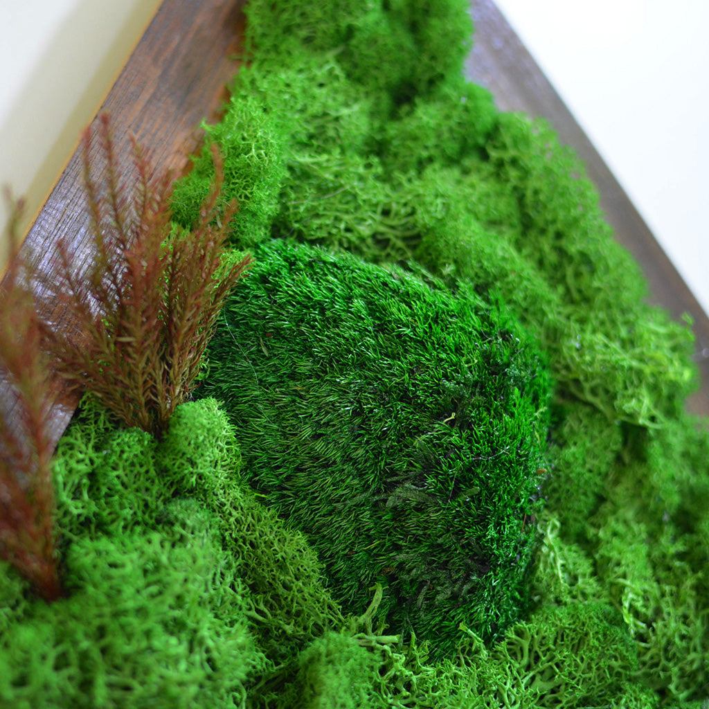 Triad Wilderness moss art handcrafted with nature by myBageecha