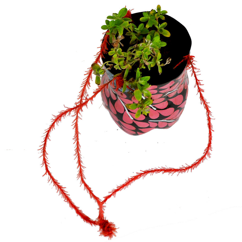 Hand-Painted Vertical Pot Garden Essentials myBageecha - myBageecha