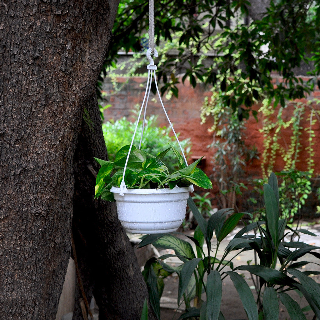 Set of 2 : Hanging White Pot Garden Essentials myBageecha - myBageecha