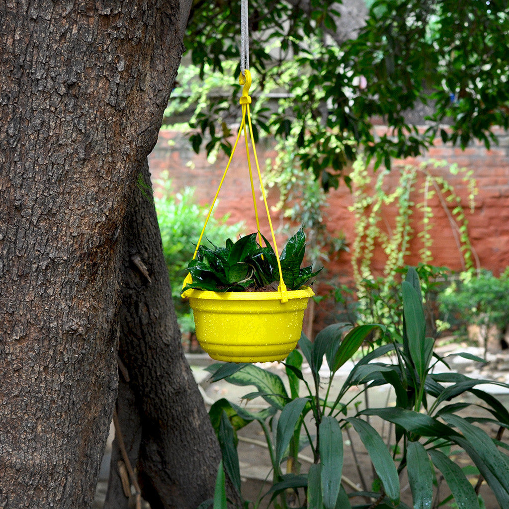 Set of 2 : Hanging Yellow Pot Garden Essentials myBageecha - myBageecha